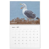 Amerikanische Tierwelt Kalender (Mär 2027)