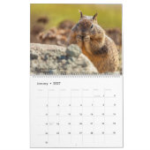Amerikanische Tierwelt Kalender (Jan 2027)