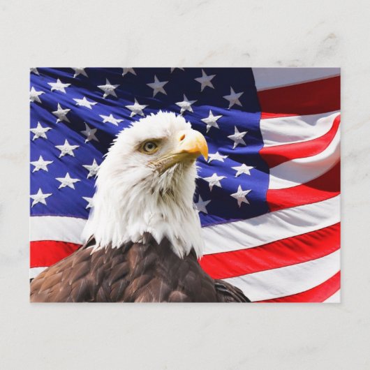 Amerikanische Unabhängigkeitskarte Postkarte (Vorderseite)