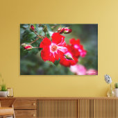 Amerikanische Unabhängigkeitstag Shrub Leinwanddruck (Insitu (Wohnzimmer))