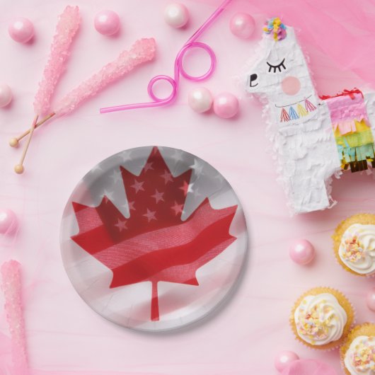 amerikanische und kanadische Flaggen Pappteller (Party)