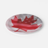 amerikanische und kanadische Flaggen Pappteller (Schrägansicht)