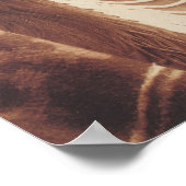 AMERIKANISCHE UREINWOHNER CHIEF HISTORISCHE FOTOGR POSTER (Ecke)