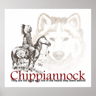 Amerikanische Ureinwohner Poster Sie sind nicht to