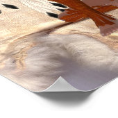 Amerikanische Ureinwohner Princess Dream Catcher P Poster (Ecke)