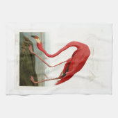 Amerikanische Vögel Flamingo-Johns Audubon von Küchentuch (Horizontal)