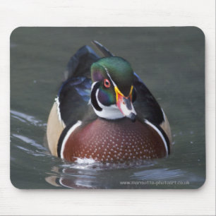 Amerikanische Waldschnatter-Mausunterlage Mousepad