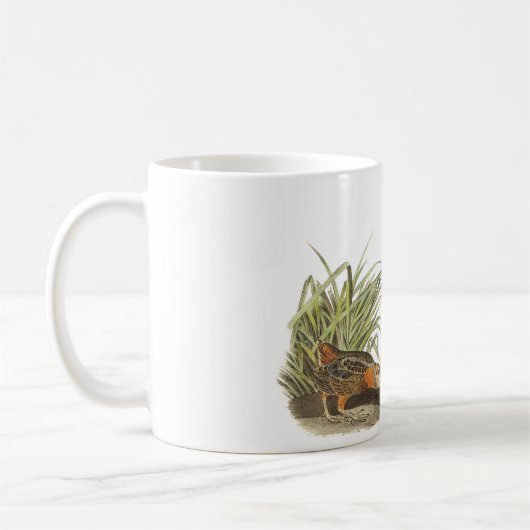 Amerikanische Waldschnepfe durch Audubon Kaffeetasse (Links)