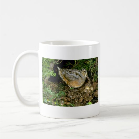 Amerikanische Waldschnepfe mit Eiern Kaffeetasse (Links)