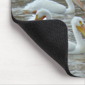 Amerikanische weiße Pelikane B16 Mousepad (Ecke)