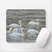 Amerikanische weiße Pelikane B16 Mousepad (Mit Mouse)