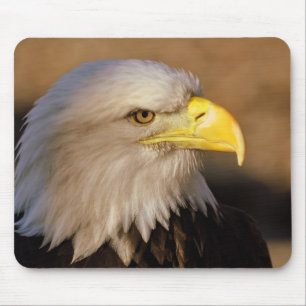 Amerikanische Weißkopfseeadler-Mausunterlage Mousepad