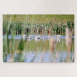 Amerikanische Weißpelikane Puzzle