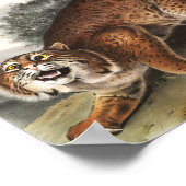 Amerikanische Wildkatze (Lynx Rufus) Illustration Poster (Ecke)
