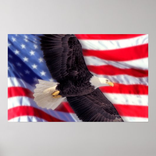 Amerikanischer Adler mit amerikanischer Flagge Poster (Vorne)