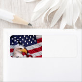 Amerikanischer Adler mit Flaggengeschichte (Insitu)