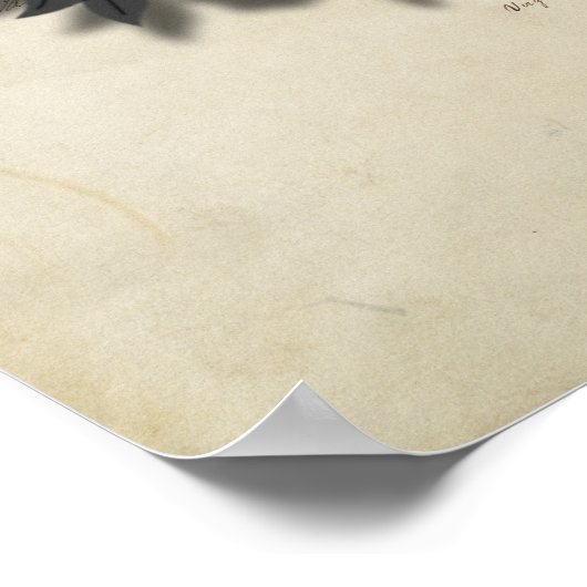 Amerikanischer Adler über die Verfassung Poster (Ecke)