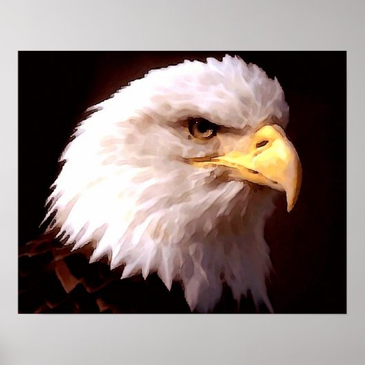 Amerikanischer Adler Weißkopfseeadler Poster Druck (Vorne)