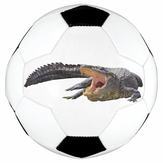 Amerikanischer Alligator - Florida wild lebende Ti Fußball (Vorderseite)