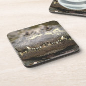 Amerikanischer Alligator Getränkeuntersetzer (Linke Seite)