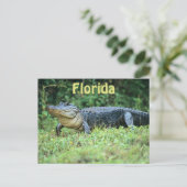 Amerikanischer Alligator in Florida Postkarte (Stehend Vorderseite)