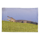 Amerikanischer Alligator Kissenbezug (Rückseite-Links)