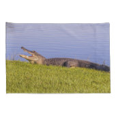 Amerikanischer Alligator Kissenbezug (Rückseite-Rechts)