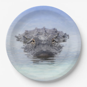 Amerikanischer Alligator – Lake Apopka Wildlife Dr Pappteller