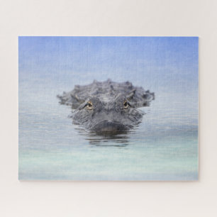 Amerikanischer Alligator – Lake Apopka Wildlife Dr Puzzle