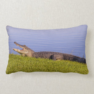 Amerikanischer Alligator Lendenkissen