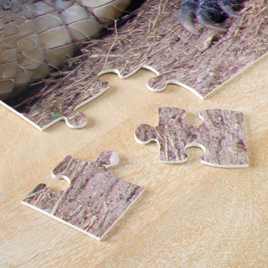 Amerikanischer Alligator Puzzle (Seite)