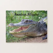 Amerikanischer Alligator Puzzle (Horizontal)