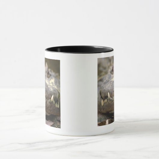 Amerikanischer Alligator Tasse (Zentrum)