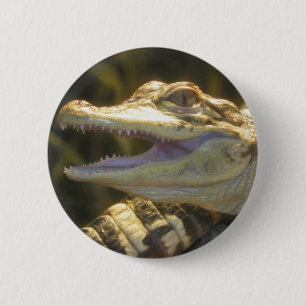 Amerikanischer Alligatormund offen Button
