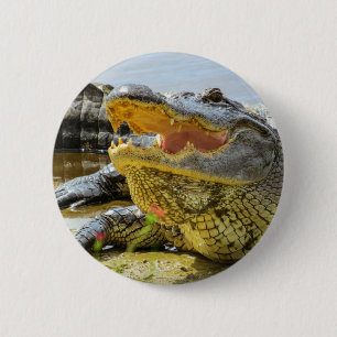 Amerikanischer Alligatorporträt - vertraulich Button