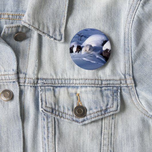 Amerikanischer arktischer Fox Button (Beispiel)