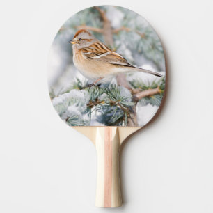Amerikanischer Baumammer im Winter Tischtennis Schläger