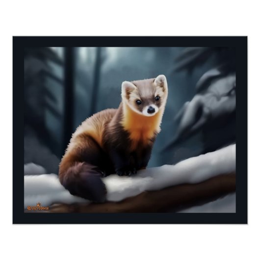 Amerikanischer Baummarder Poster (Vorderseite)