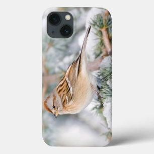 Amerikanischer Baumspatz im Winter iPhone 13 Hülle