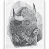 Amerikanischer Bison Aufkleber (Vorderseite)