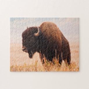 Amerikanischer Bison (Bison Bison) Herde In Teton  Puzzle