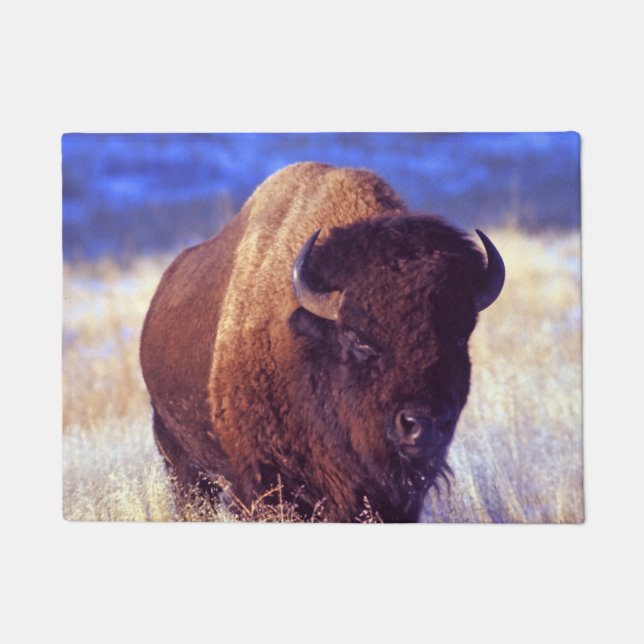 Amerikanischer Bison - Büffel Fußmatte (Vorderseite)
