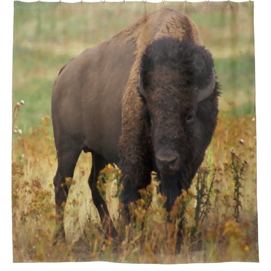 Amerikanischer Bison-Duschvorhang Duschvorhang (Vorderseite)