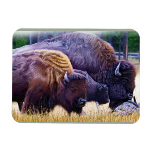Amerikanischer Bison-Familie Magnet