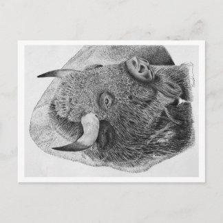Amerikanischer Bison Feiertagspostkarte