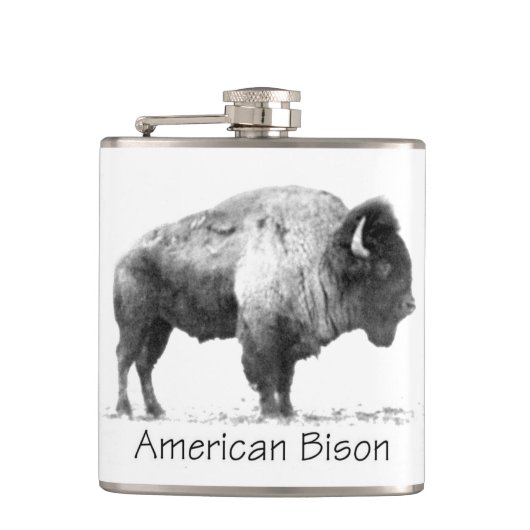 Amerikanischer Bison Flachmann (Vorderseite)