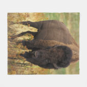 Amerikanischer Bison-Fleece-Decke Fleecedecke (Vorderseite (Horizontal))