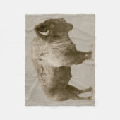 Amerikanischer Bison. Fleecedecke (Vorderseite)
