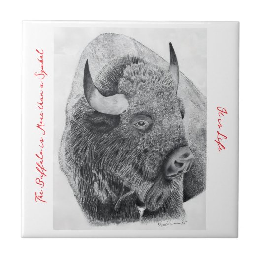 Amerikanischer Bison Fliese (Vorderseite)