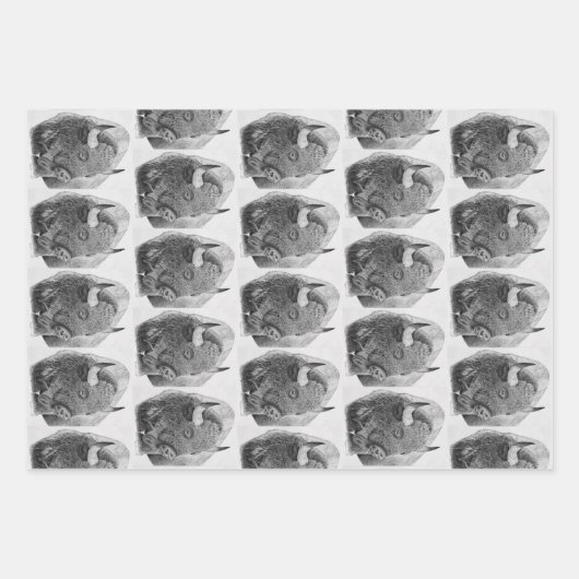 Amerikanischer Bison Geschenkpapier Set (Vorderseite)